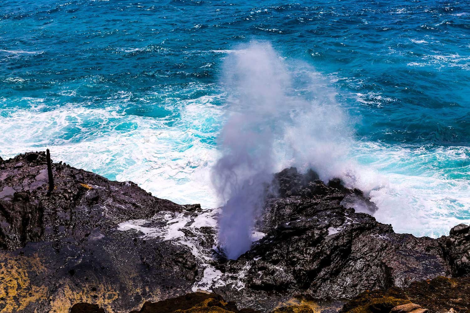 The Halona Blowhole erupting a column of seawater through black lava rock